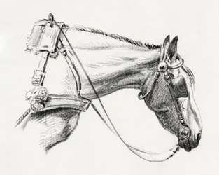 Testa di cavallo (1820)