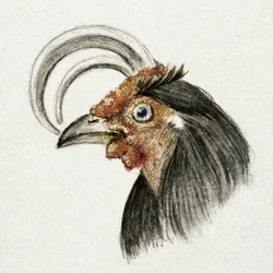 Testa di gallo (1816)