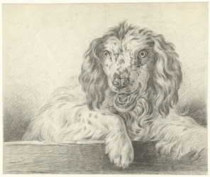 Cane