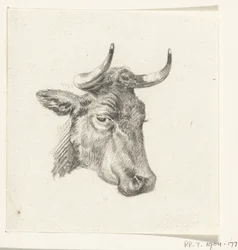 Testa di una mucca