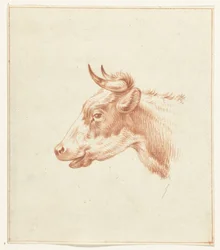Testa di una mucca, verso sinistra