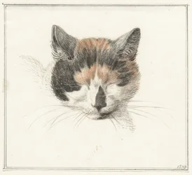 Testa di un gatto pezzato, di fronte, con occhi chiusi
