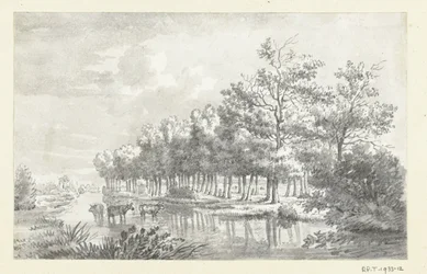 Paesaggio con mucche guadanti