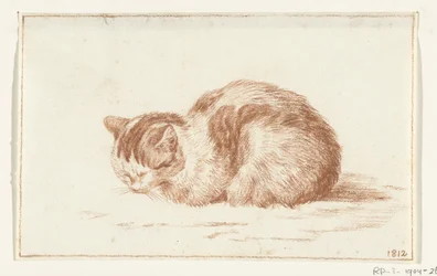 Gatto sdraiato, verso sinistra