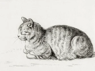 Il gatto sdraiato (1811)