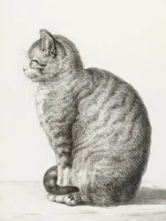Gatto seduto (1815)