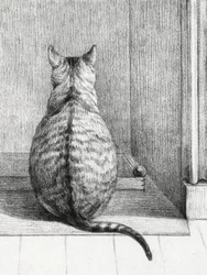 Gatto seduto, visto da dietro (1812)