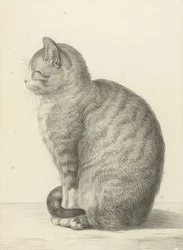 Gatto seduto, a sinistra. 1815