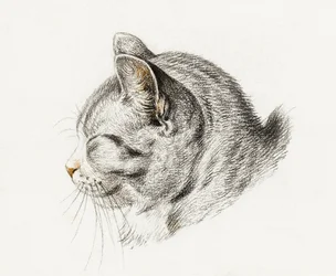 Schizzo di un gatto (1813)