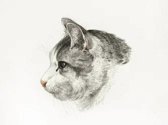 Schizzo di un gatto (1819) di Jean Bernard (1775-1883)