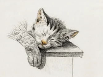 Schizzo di un gatto che dorme