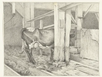 Mucca in piedi in una stalla, verso destra
