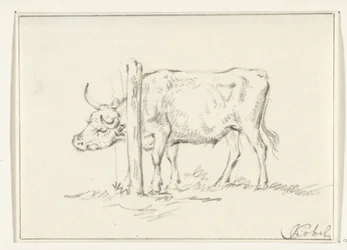 Mucca in piedi, con la testa tra i pali