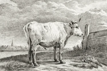Toro in piedi (1817)