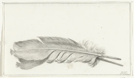Piuma
