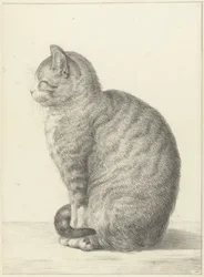 Gatto seduto, verso sinistra