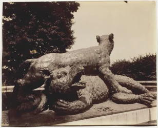 Versailles, Fontaine du Point du Jour, (Tigre Terrassant un Ours di Houzeau)