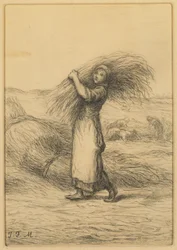 Scena di Raccolto