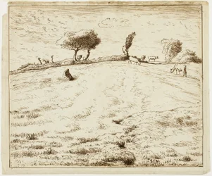 Paesaggio - Collina a Gruchy, Normandia