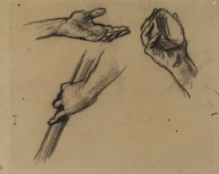 Studi di mani