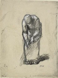 Studio per la Raccolta del Lino