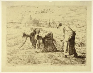 Le spigolatrici
