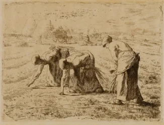 Gli Spigolatori