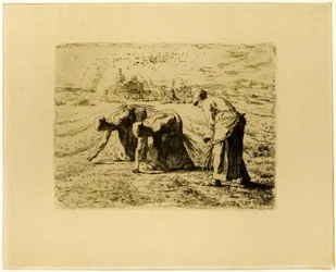 Gli Spigolatori