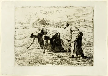 Gli Spigolatori