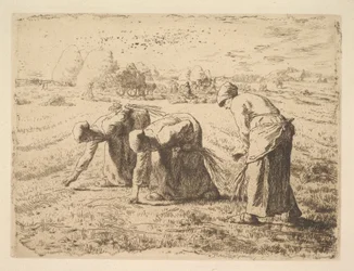 Le spigolatrici