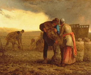 La raccolta delle patate, 1855