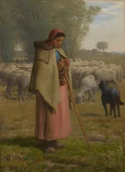 Giovane ragazza che guarda le sue pecore