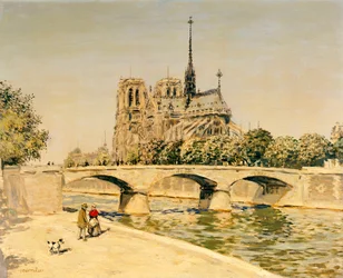 Notre Dame e la Senna