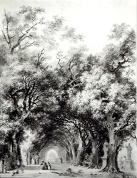 Il viale ombroso, c.1773-74