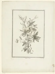 Bouquet con giglio