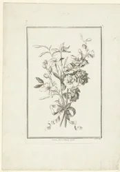 Bouquet di gelsomino e delphinium