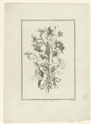 Bouquet di narcisi e convolvoli