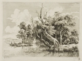 Gruppo di alberi vicino all