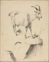 Studio di una capra, 1700s