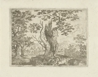 Paesaggio con un albero spezzato