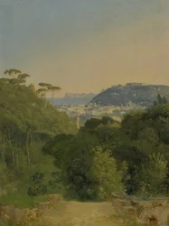 Vista sulla baia di Napoli