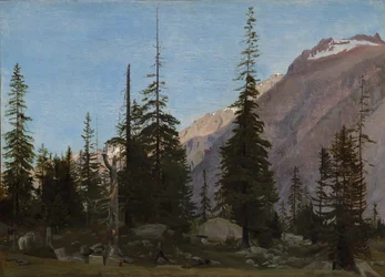 Paesaggio alpino: La Handegg, Svizzera