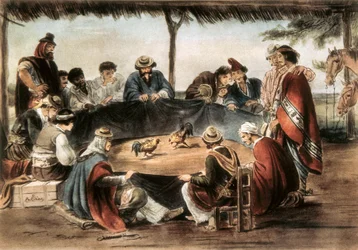 Combattimento di galli in Argentina