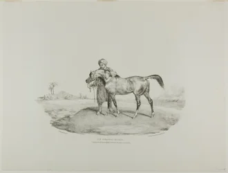 Un cavallo arabo, tavola 8 da Vari soggetti disegnati dal vero e su pietra (The English Suite)