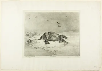 Cavallo morto