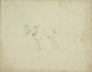 Cavallo da tiro