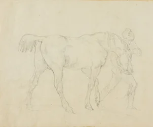 Stalliere che conduce un cavallo