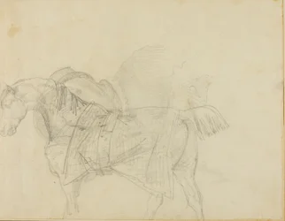 Cavallo che indossa una coperta