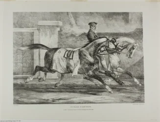 Cavalli in esercizio, tavola 6 da Vari soggetti disegnati dal vero e su pietra (The English Suite)