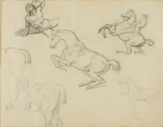 Schizzi: Nudo sdraiato, cavaliere e vari cavalli